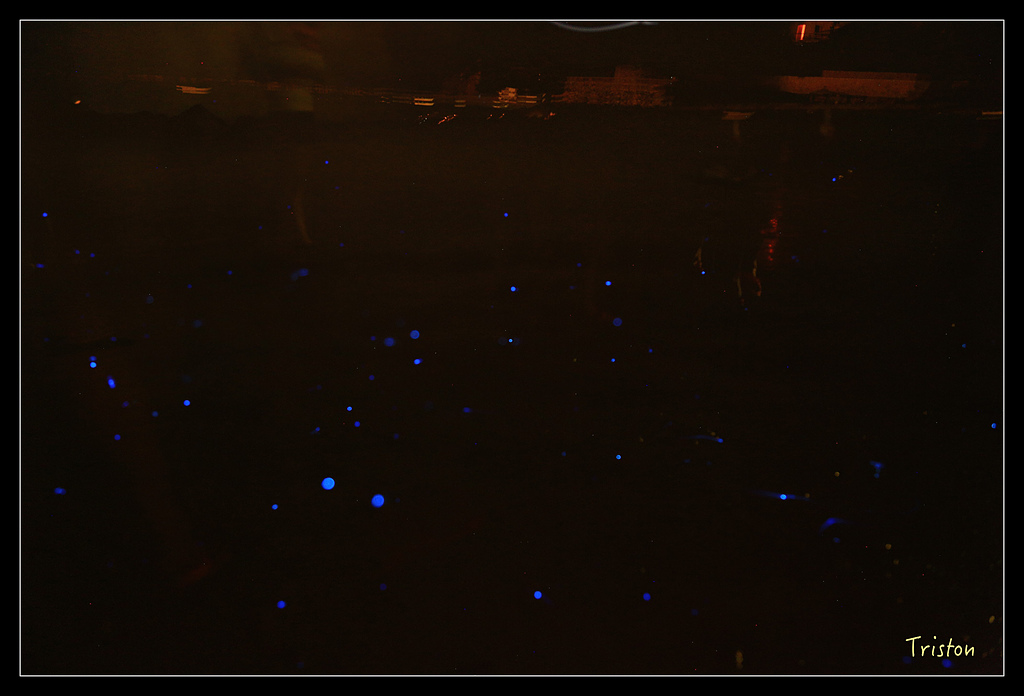 JH1A9320.jpg - 20150814 馬祖之旅