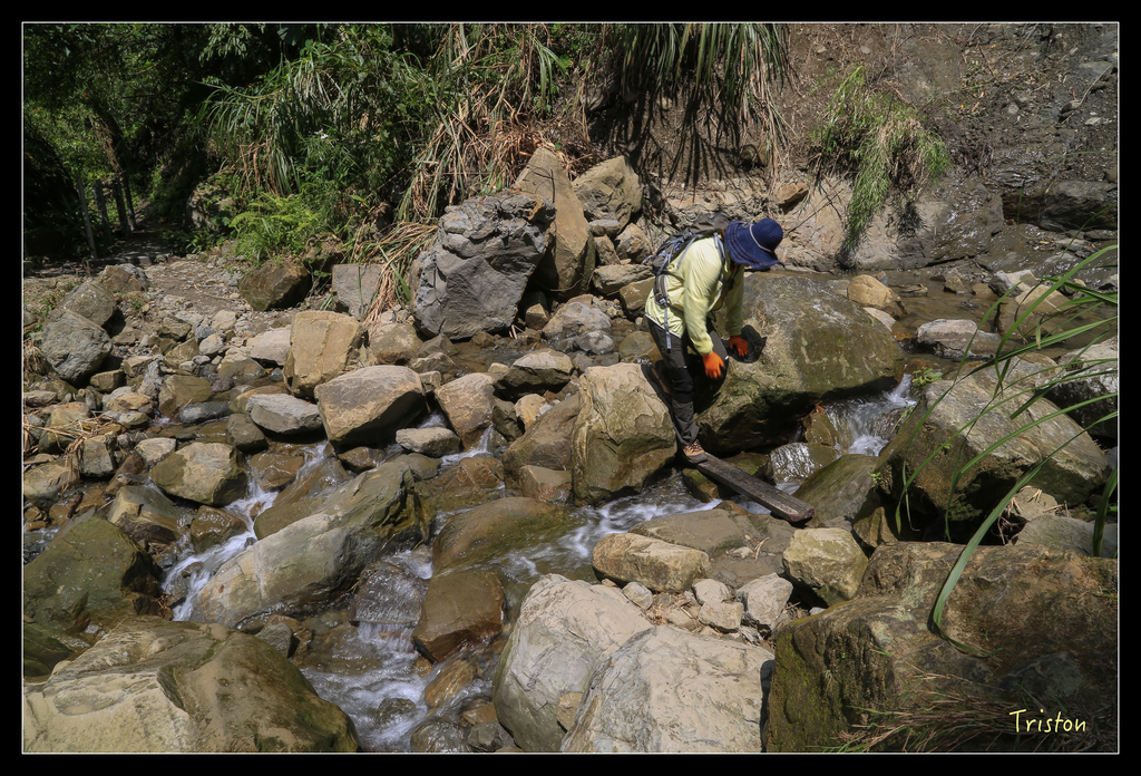 JH1A9860.jpg - 20151005 竹坑溪步道