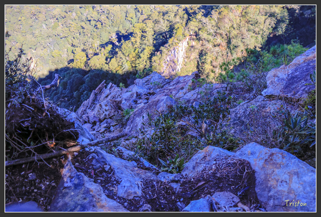 IMG_0587.jpg - 20151219 鳶嘴稍來山、小雪山林道