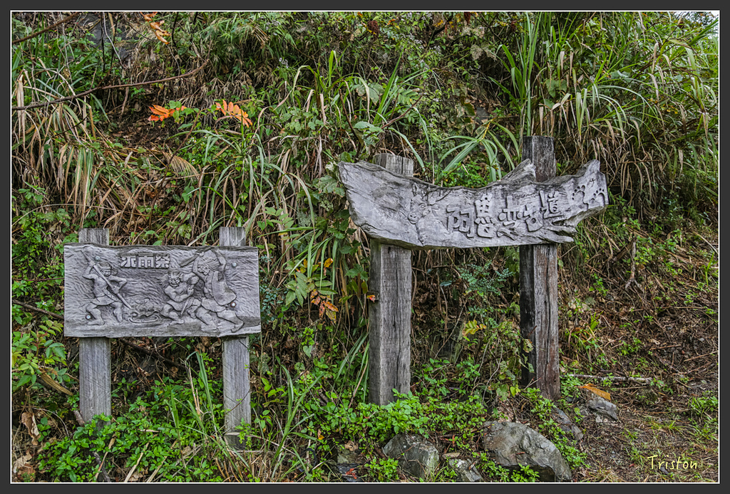 JH1A8197.jpg - 20160111 吉露、阿禮部落