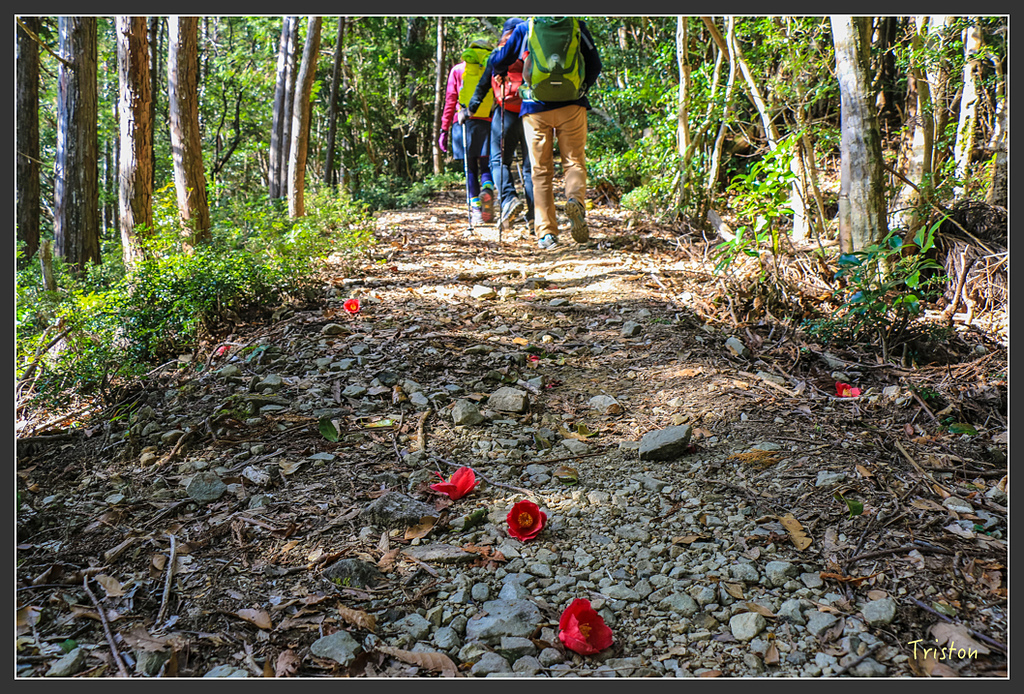 IMG_4685.jpg - 20160323 日本熊野古道健行