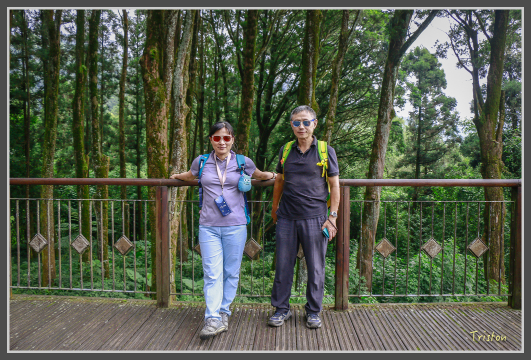 _MG_9452.jpg - 20160724 奮起湖阿里山森鐵一日遊