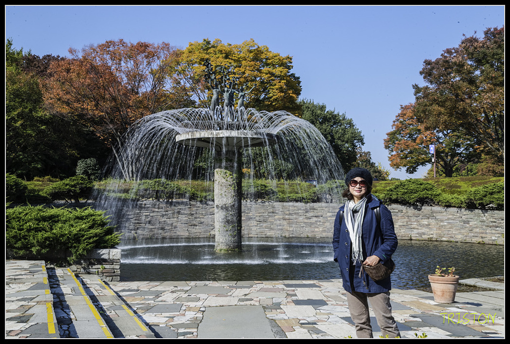 _H1A1582.jpg - 20171103 日本只見線、會津若松五色沼、昭和記念公園賞紅葉