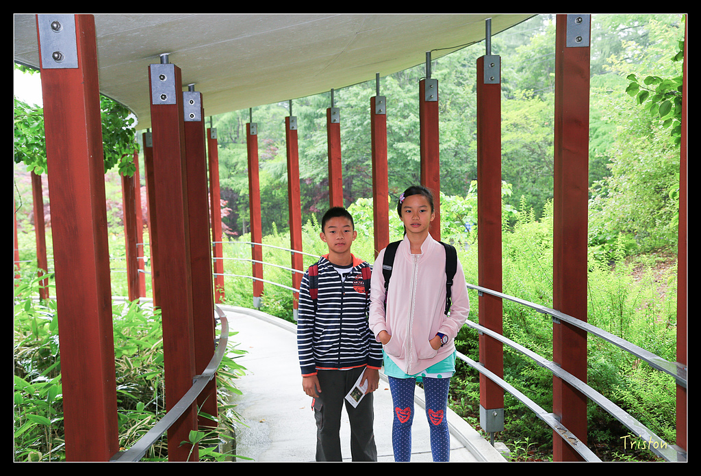 JH1A9542.jpg - 20150628 東京輕井澤日光