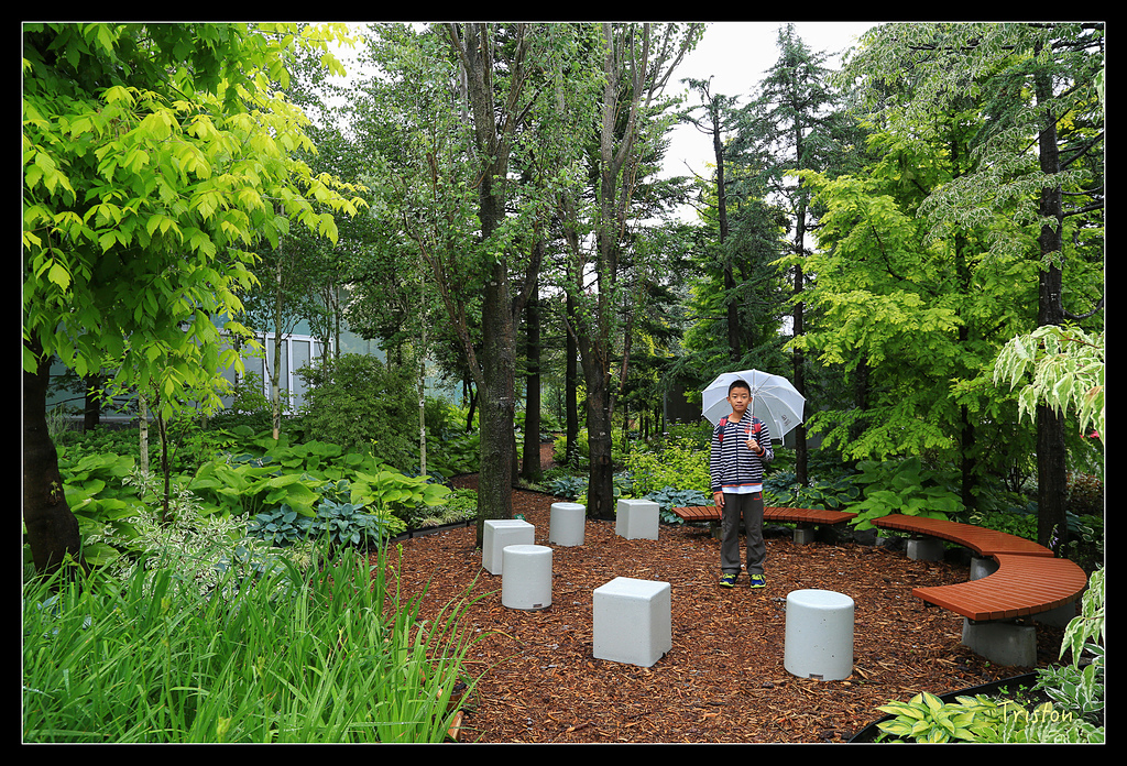 JH1A9515.jpg - 20150628 東京輕井澤日光