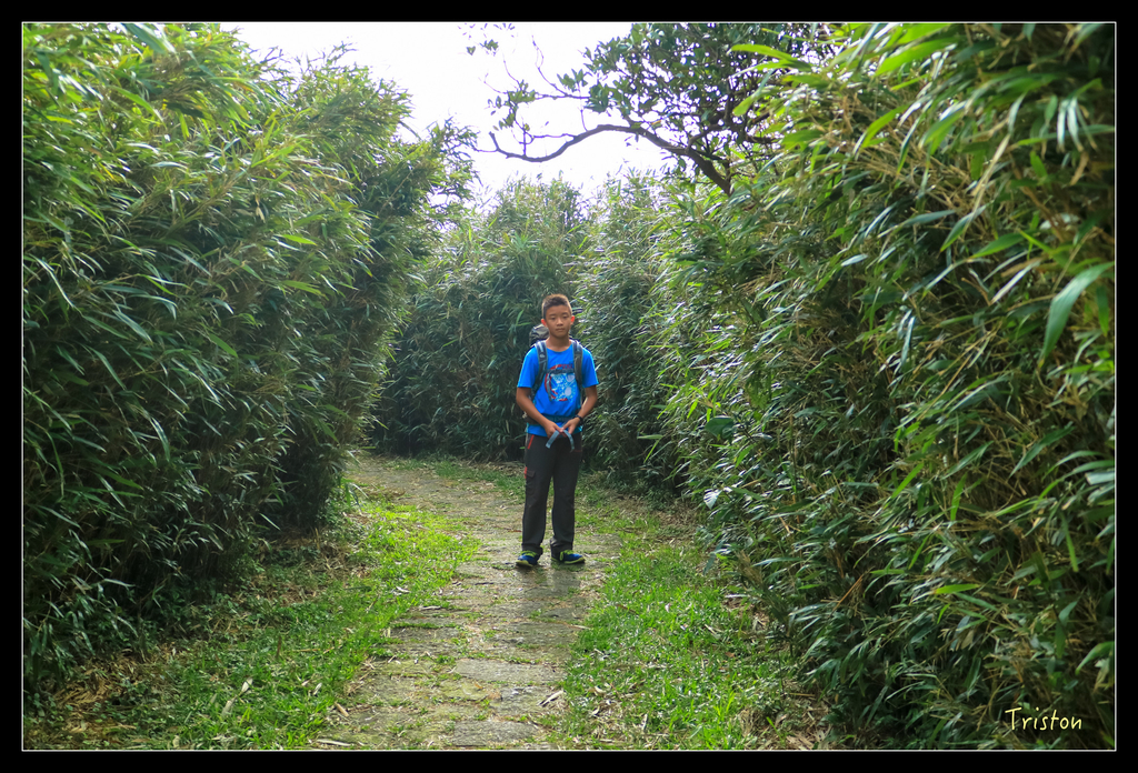 IMG_0411.jpg - 20151107 富士坪古道