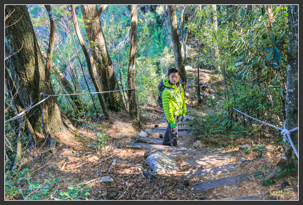 IMG_0595.jpg - 20151219 鳶嘴稍來山、小雪山林道