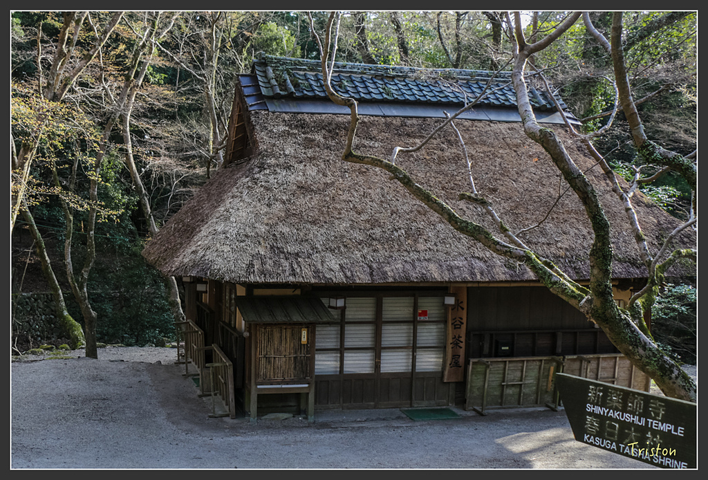 IMG_4117.jpg - 20160323 日本熊野古道健行