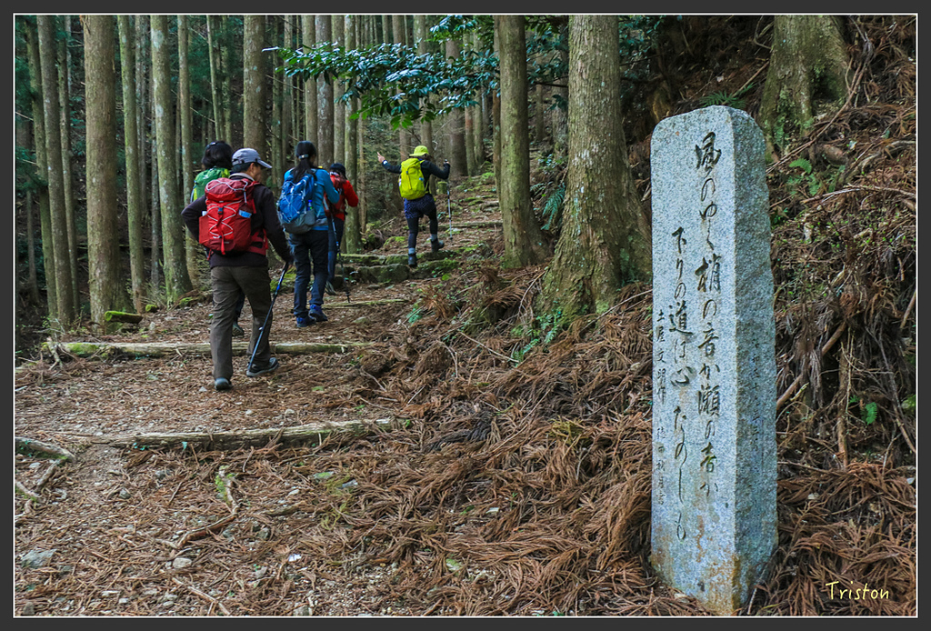 IMG_5392.jpg - 20160323 日本熊野古道健行