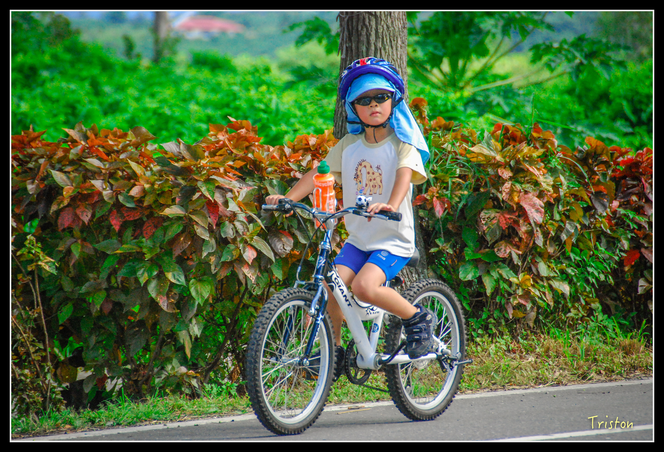 2010-08-14 15-03-33.jpg - 20160614 器