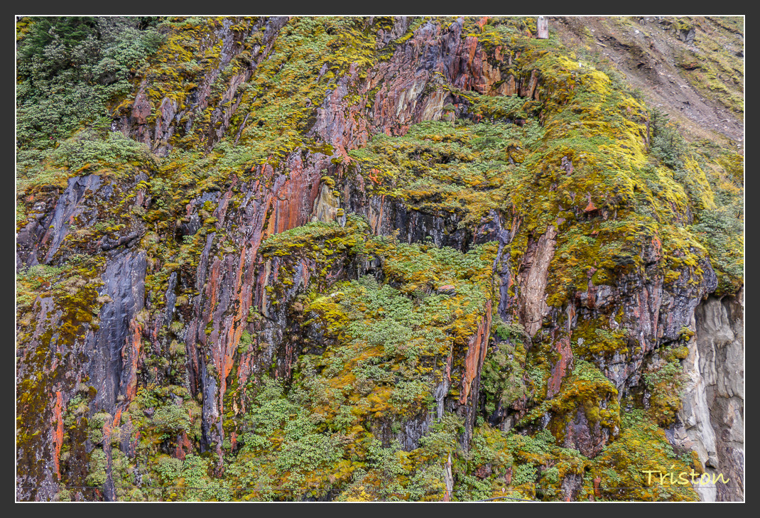 _MG_2697.jpg - 20161013 稻城亞丁