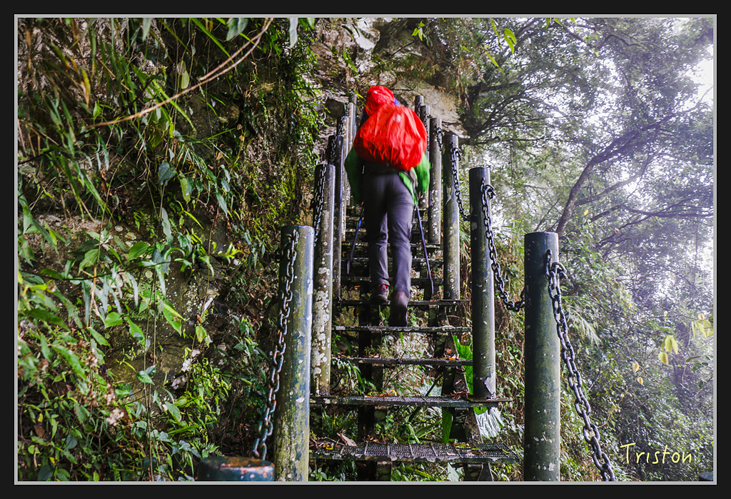 2017-02-27 10.03.53 下午 _MG_0311.jpg - 20170225 玉里瓦拉米
