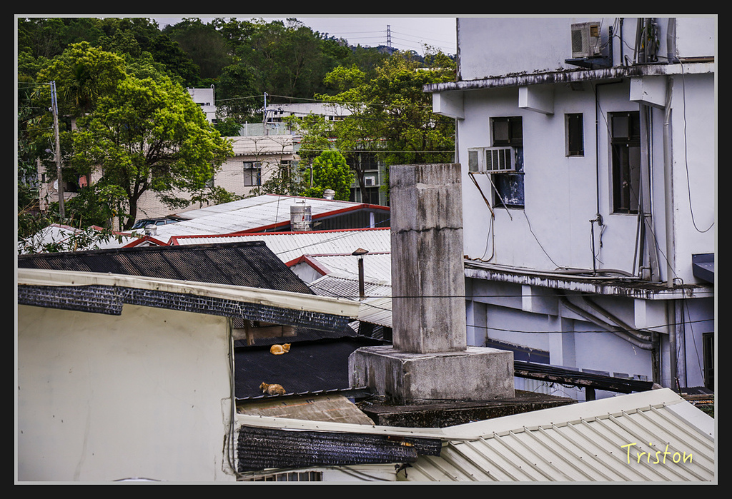 2017-02-27 10.03.53 下午 _MG_0076.jpg - 20170225 玉里瓦拉米