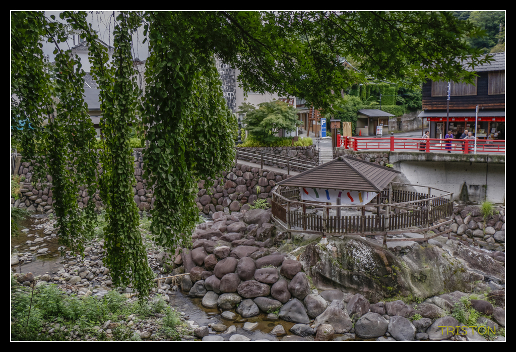 _MG_1198.jpg - 20170702 靜岡東海道之旅
