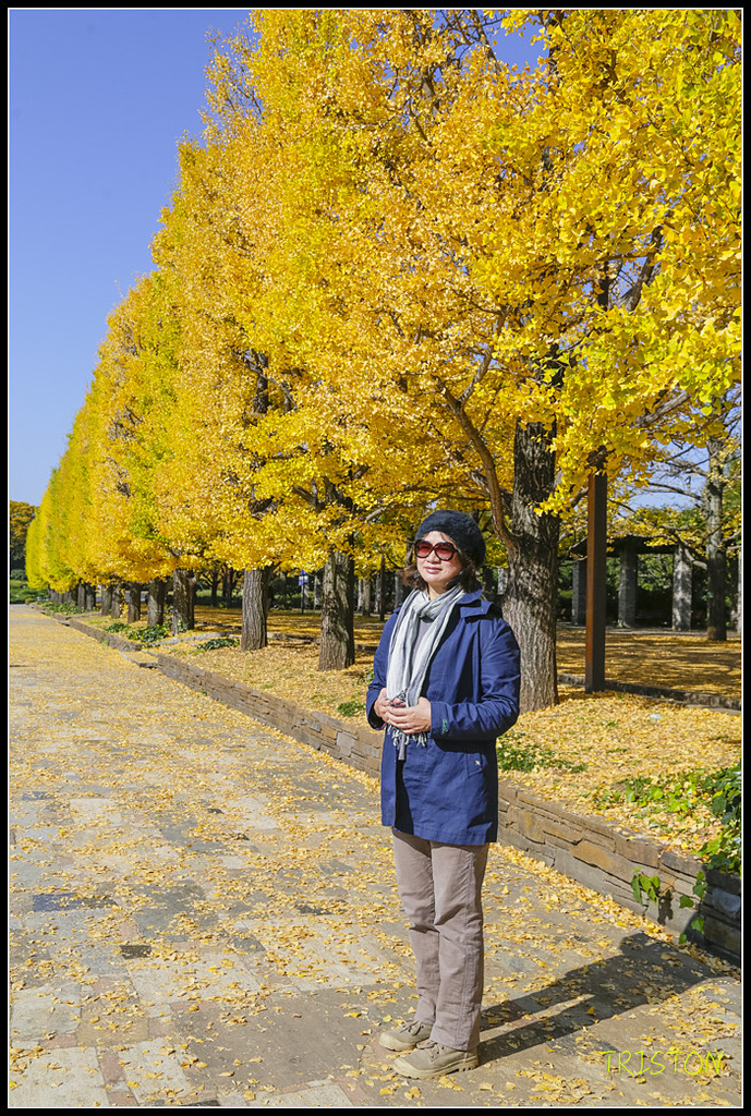 _H1A1587.jpg - 20171103 日本只見線、會津若松五色沼、昭和記念公園賞紅葉
