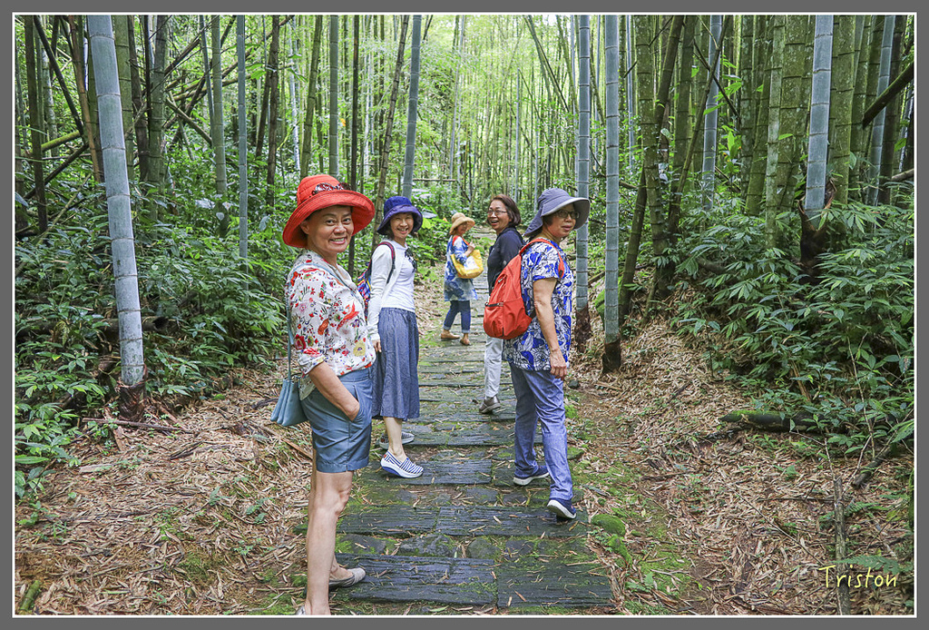 IMG_2242.jpg - 20180802 樂野山芙蓉揉茶,阿將咖啡的家