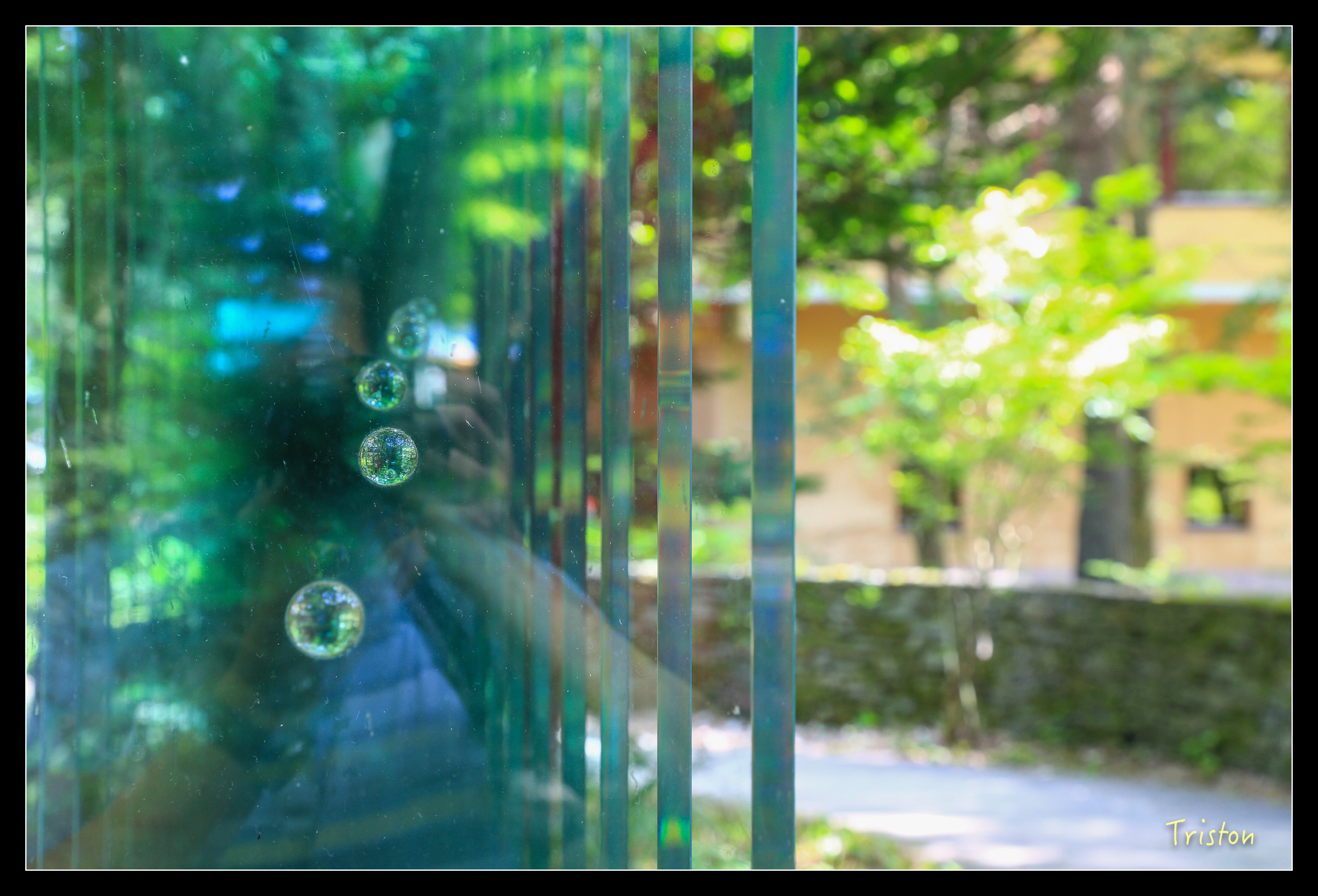 JH1A9149.jpg - 20150628 東京輕井澤日光