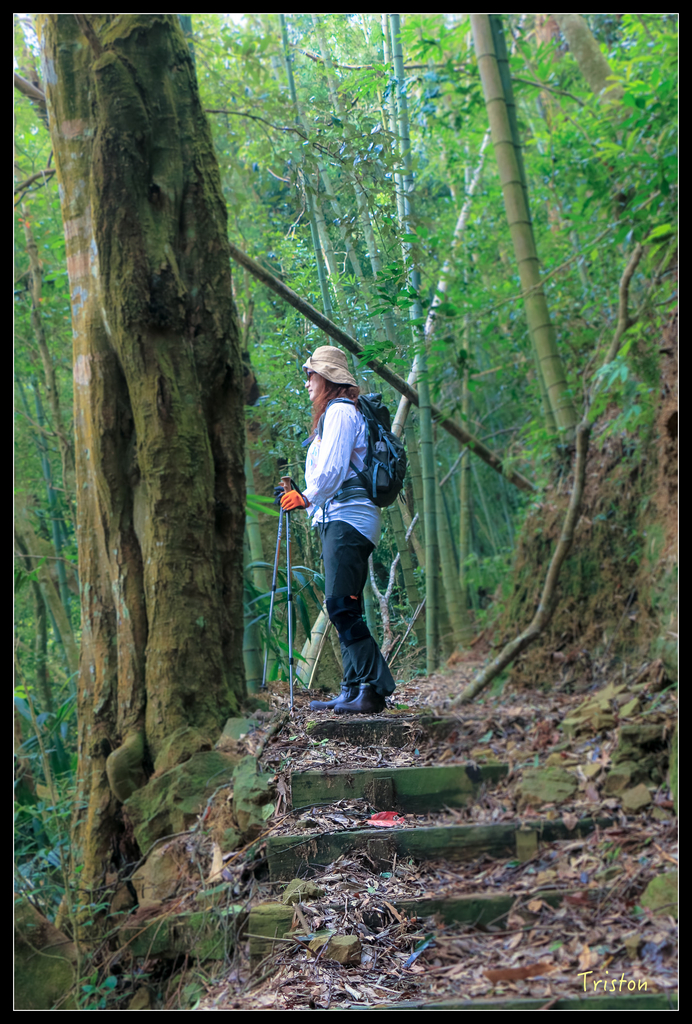 IMG_8404.jpg - 20151012 水社寮,四天王山