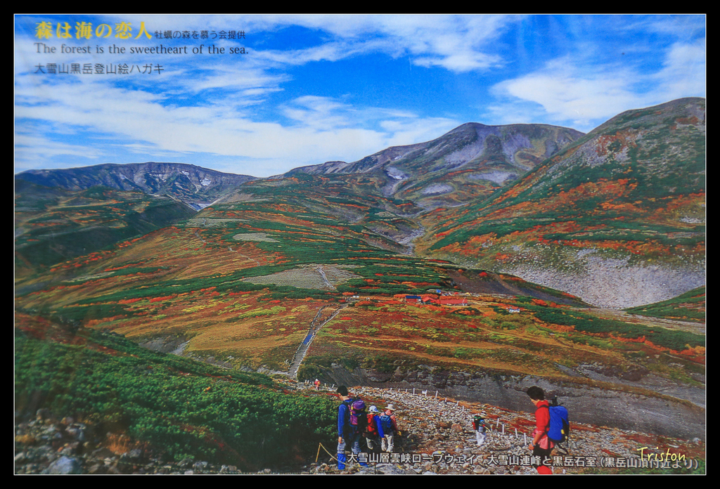 jh1a8801_21746954479_o.jpg - 20011002 北海道蜜月旅行