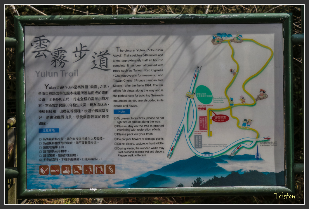 IMG_3353.jpg - 20160227 觀霧森林步道