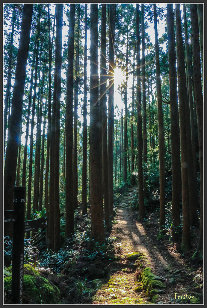 IMG_5371.jpg - 20160323 日本熊野古道健行