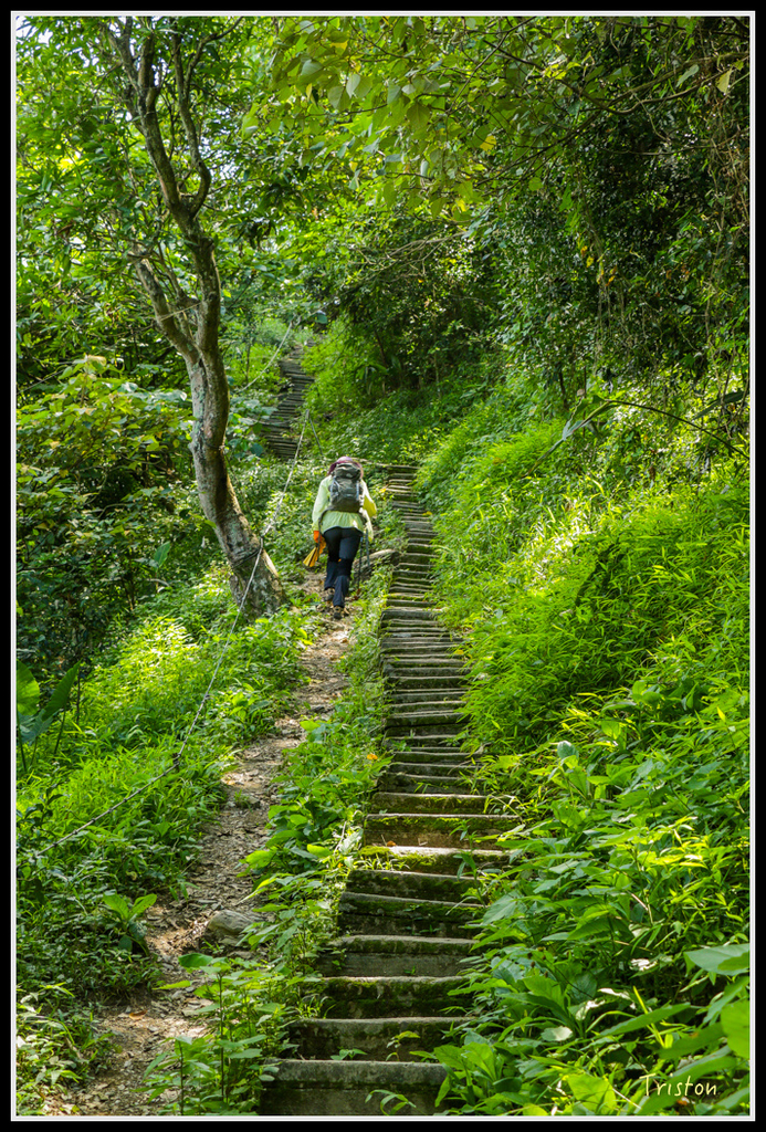 IMG_7260.jpg - 20160531 屏東笠頂山