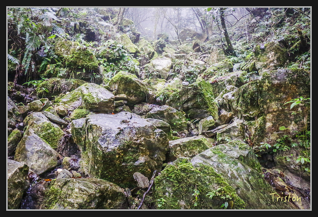 2017-02-27 10.03.53 下午 _MG_0336.jpg - 20170225 玉里瓦拉米