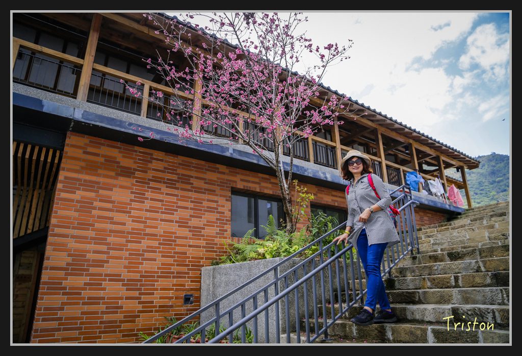 _H1A2494.jpg - 20170311 草嶺