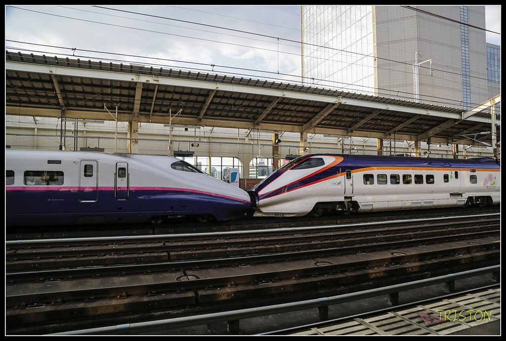 _H1A1496.jpg - 20171103 日本只見線、會津若松五色沼、昭和記念公園賞紅葉