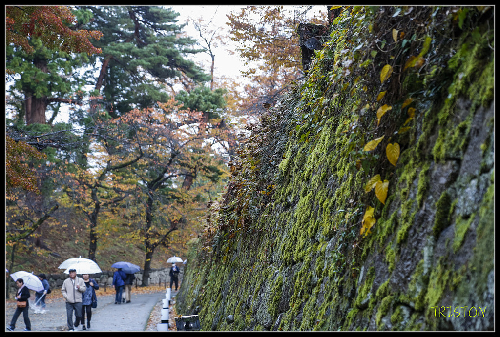 _H1A0899.jpg - 20171103 日本只見線、會津若松五色沼、昭和記念公園賞紅葉