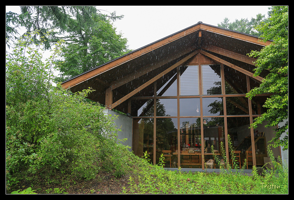 JH1A9554.jpg - 20150628 東京輕井澤日光