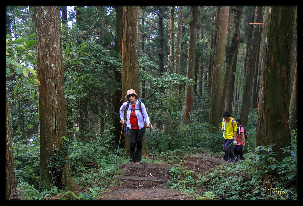 IMG_8362.jpg - 20150926 大凍山切霹靂山 抵龍雲山莊