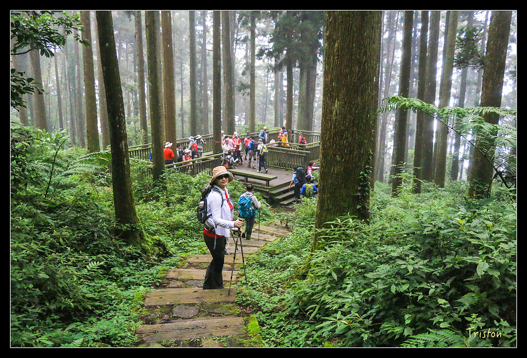 IMG_8373.jpg - 20150926 大凍山切霹靂山 抵龍雲山莊