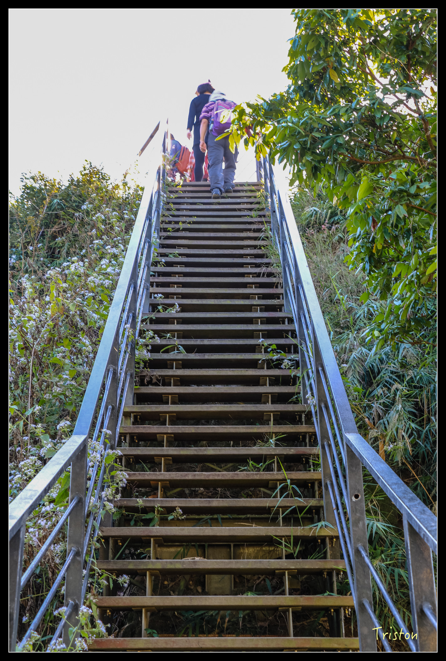 IMG_0291.jpg - 20151214 林內龍過脈步道