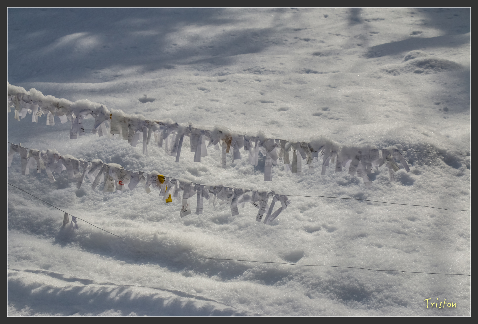 2016ZAO-00642.jpg - 20160131 日本藏王溫泉滑雪親子行