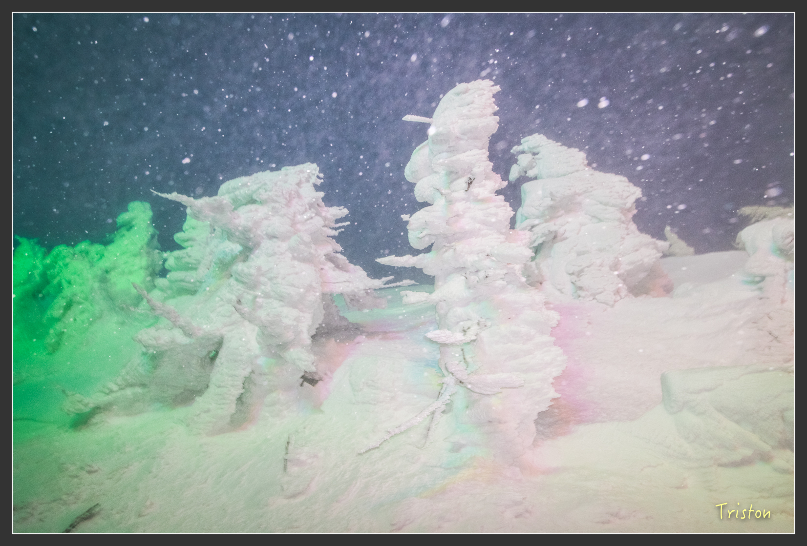 2016ZAO-00916.jpg - 20160131 日本藏王溫泉滑雪親子行