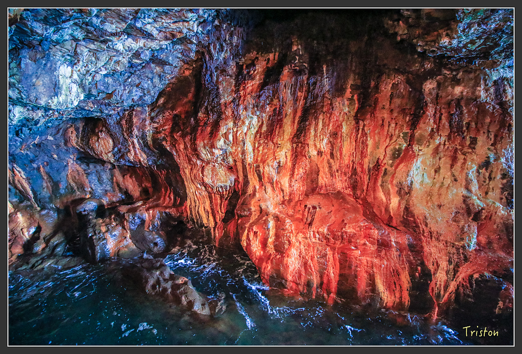 IMG_5933.jpg - 20160323 日本熊野古道健行