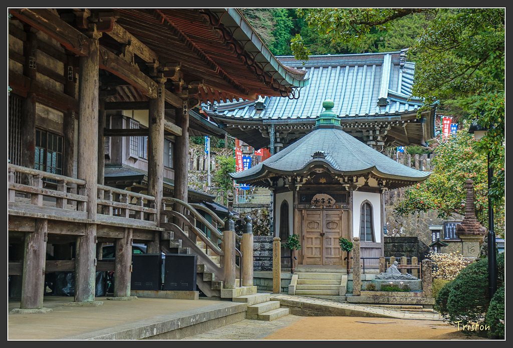 IMG_5673.jpg - 20160323 日本熊野古道健行