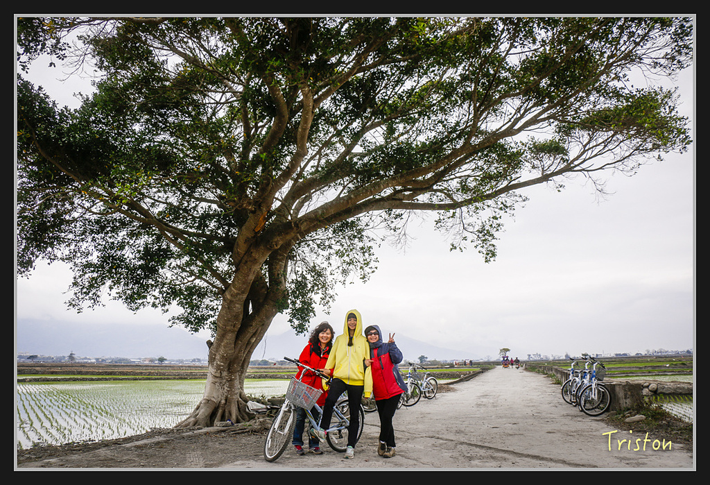2017-02-27 10.03.54 下午 _MG_0665.jpg - 20170225 玉里瓦拉米