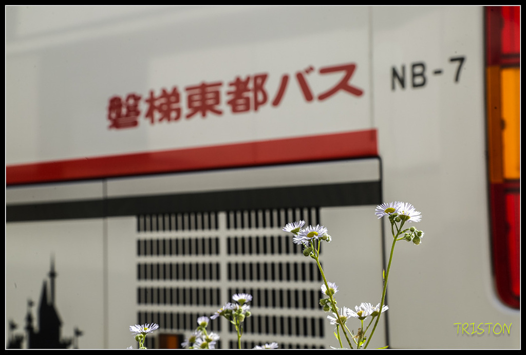 _H1A1391.jpg - 20171103 日本只見線、會津若松五色沼、昭和記念公園賞紅葉