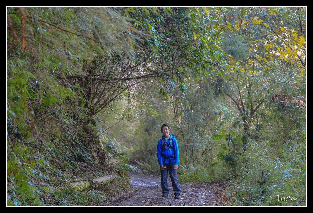 JH1A0851.jpg - 20151205 合歡溪步道、108K楓之谷