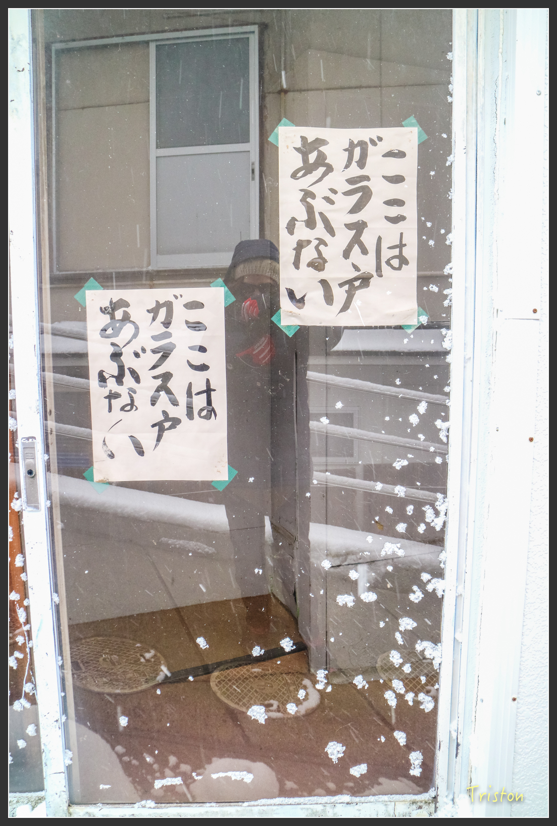 2016ZAO-01251.jpg - 20160131 日本藏王溫泉滑雪親子行