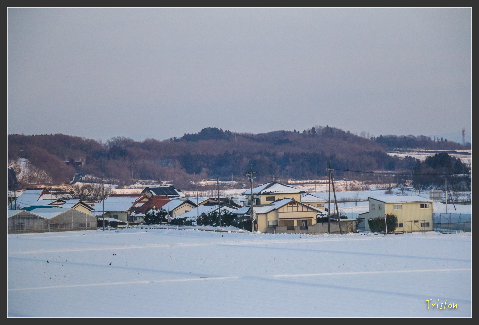 2016ZAO-00405.jpg - 20160131 日本藏王溫泉滑雪親子行