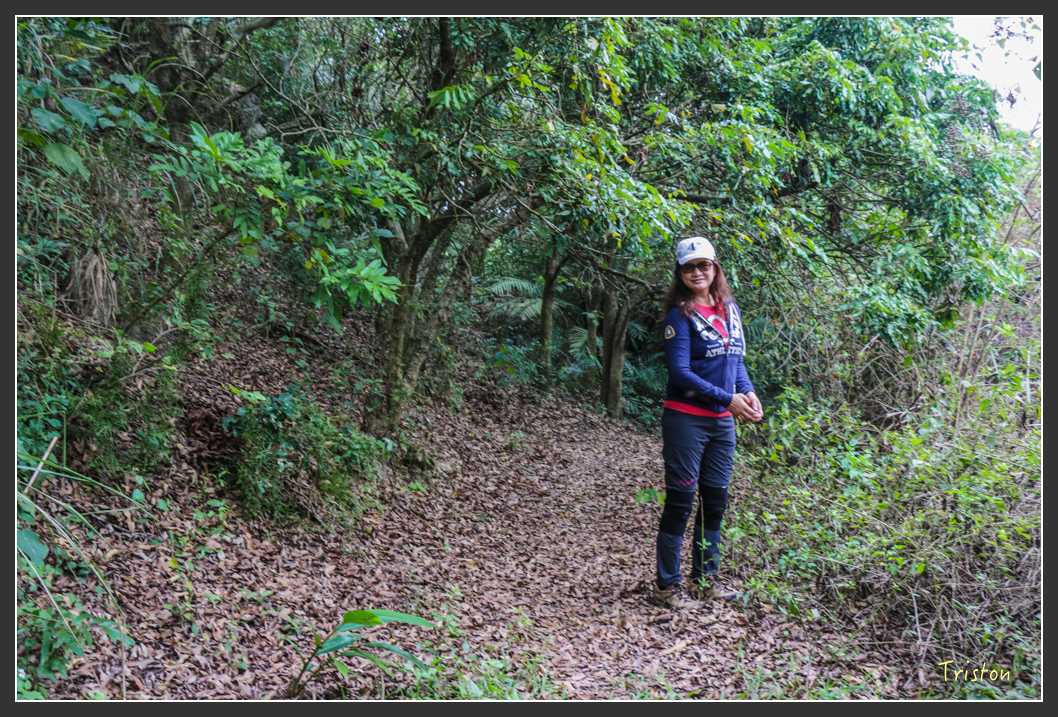 IMG_3190.jpg - 20160220 小崗山健行步道