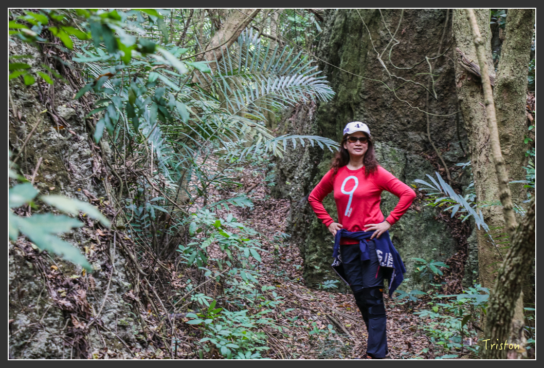 IMG_3193.jpg - 20160220 小崗山健行步道