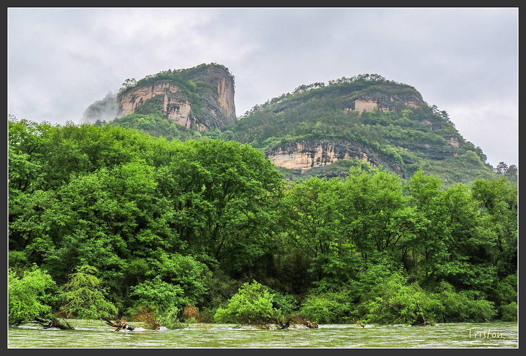 IMG_6802.jpg - 20160409 武夷山之旅