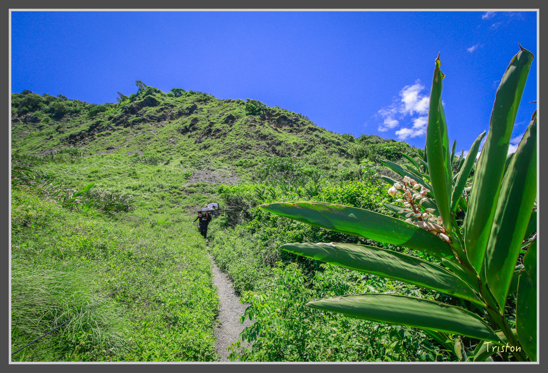 _MG_8394.jpg - 20160618 阿朗壹古道