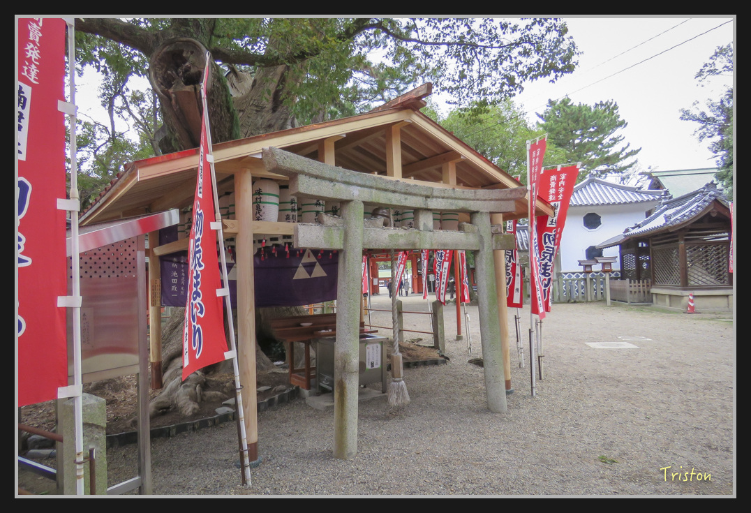 Canon-976.jpg - 20170120 大阪神戶親子遊