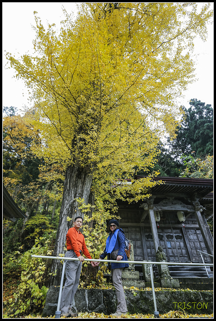 _H1A0723.jpg - 20171103 日本只見線、會津若松五色沼、昭和記念公園賞紅葉