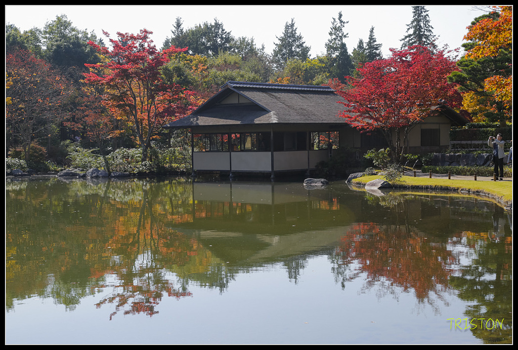 _H1A1736.jpg - 20171103 日本只見線、會津若松五色沼、昭和記念公園賞紅葉